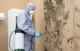 Best Mold Removal for HVAC Installations in Myrtletown, CA